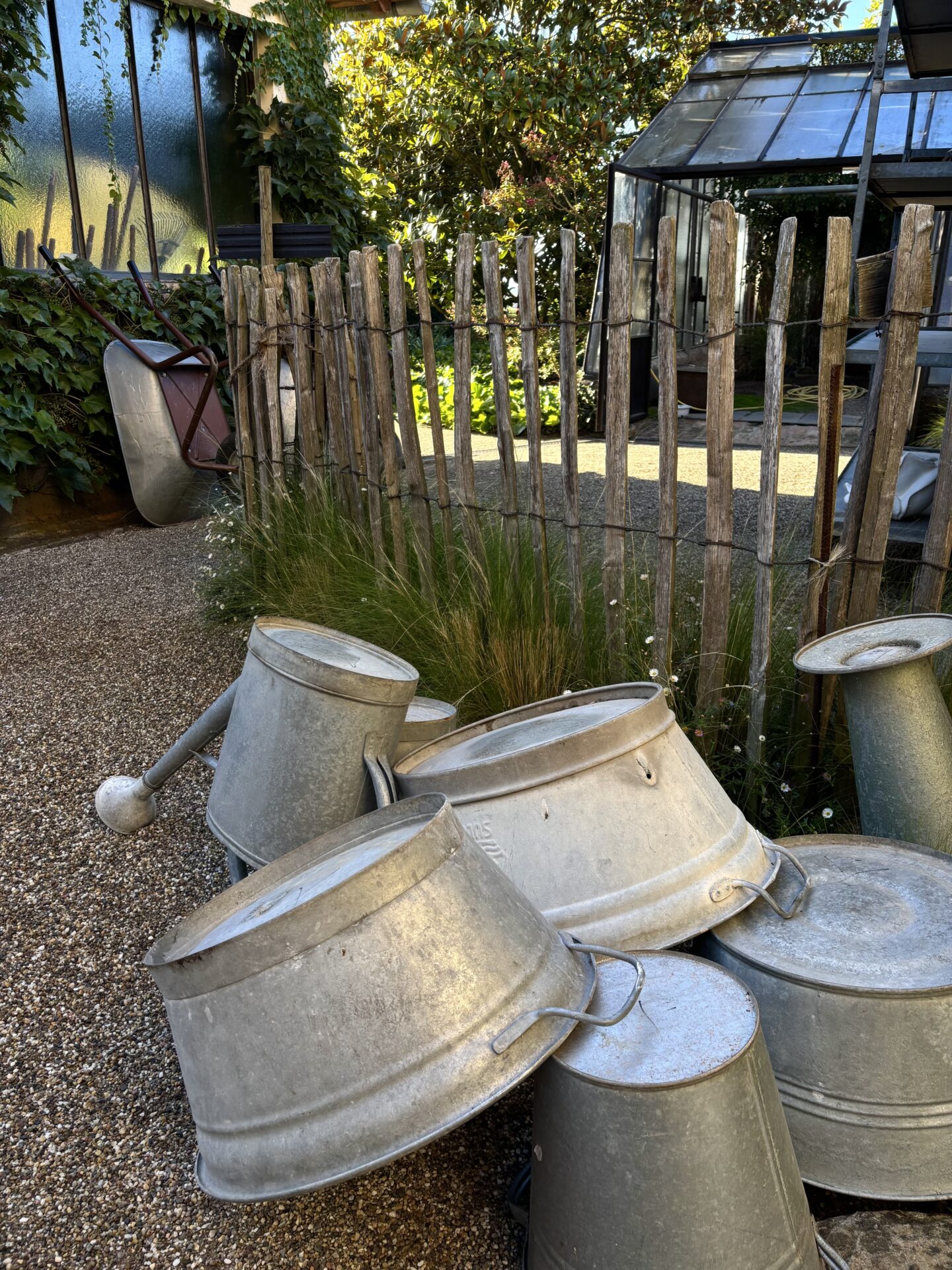 Iris Diehl Garten Blumen Café Wachenheim (13)