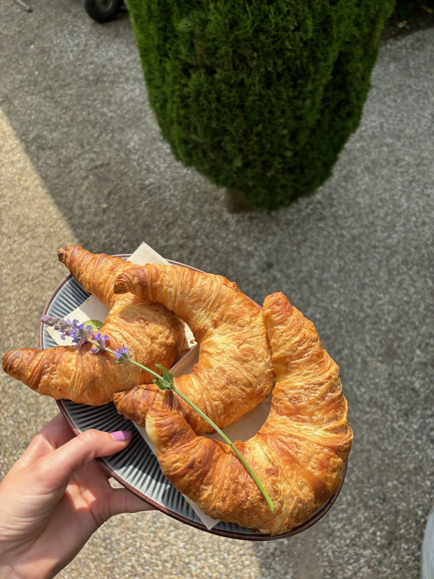 Iris Diehl Gartencafé Wachenheim (5)