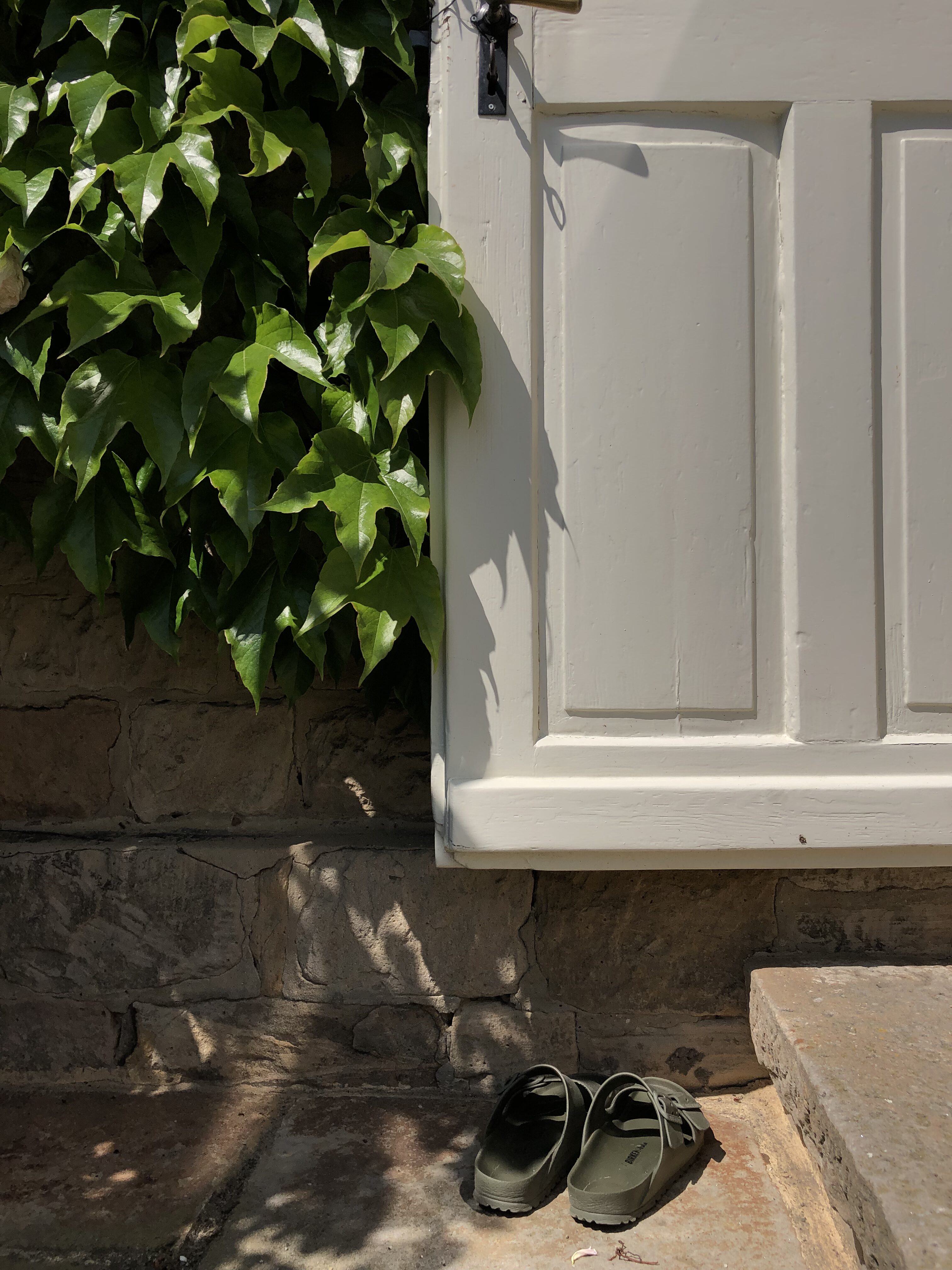 Iris Diehl Garten Blumen Café Wachenheim (6)