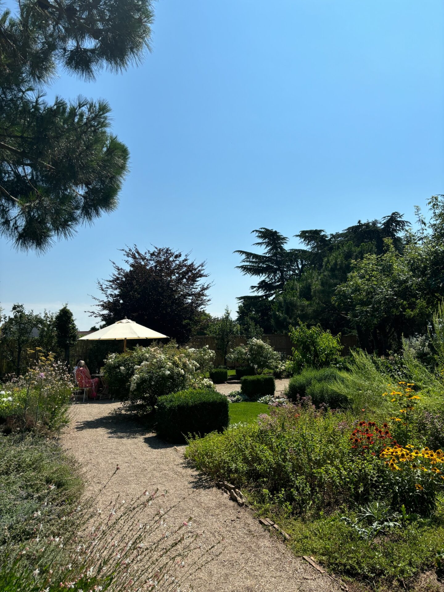 Iris Diehl Garten Blumen Café Wachenheim (9)