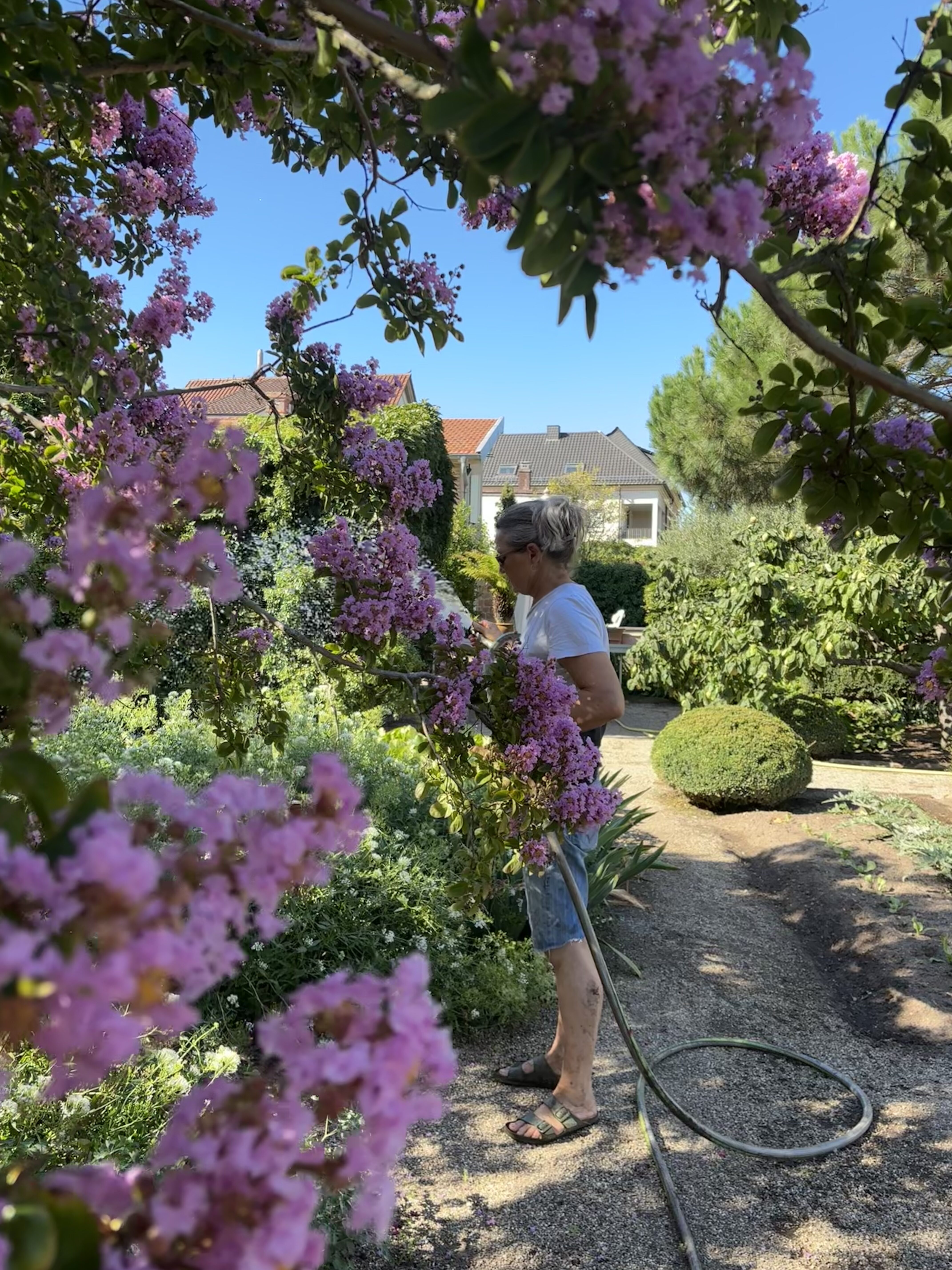 Iris Diehl Garten Blumen Café Wachenheim (13)