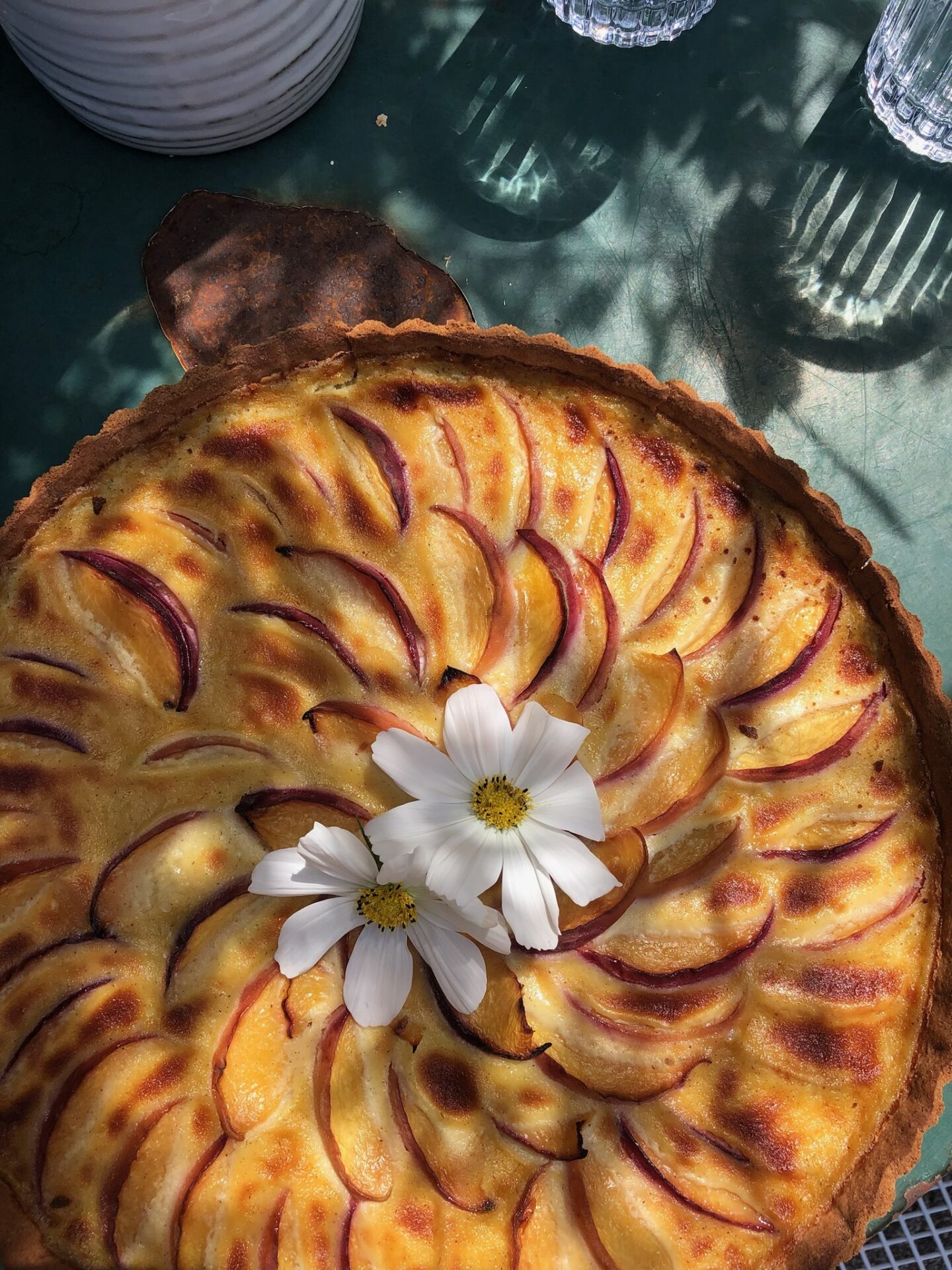 Iris Diehl Garten Wachenheim (16)