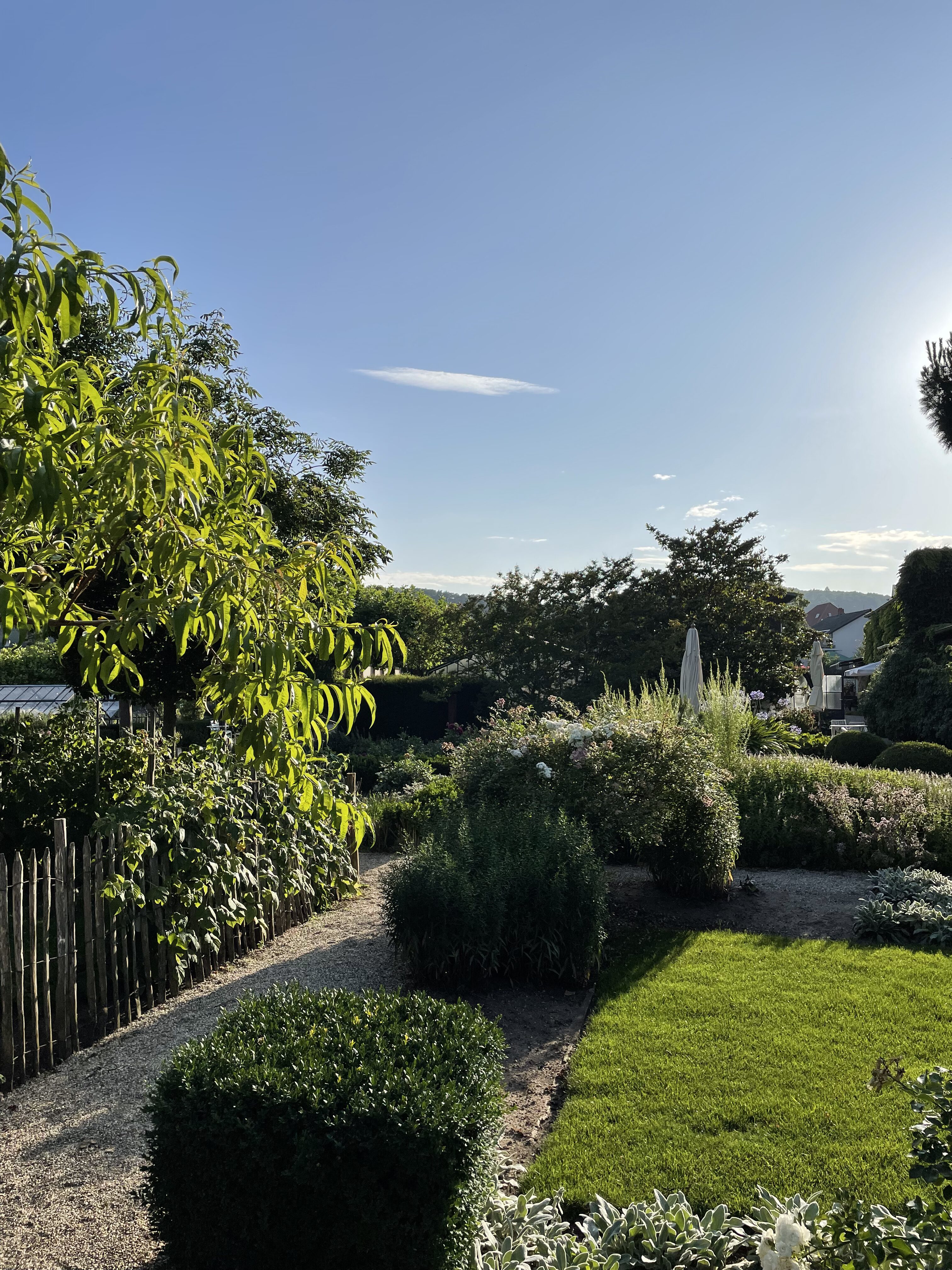 Iris Diehl Garten Blumen Café Wachenheim (15)